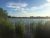 Ham Road Complex (Scout Hut Lake & Bird Lake) Mid Kent Fisheries