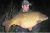 Handle Lake Mid Kent Fisheries