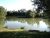 Hauxton Carp Syndicate