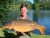 Horton Kirby Lakes fishery