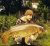 Hucklesbrook Lake Christchurch Angling Club