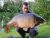 Jenkins Lake Churchwood Fisheries