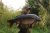 Keer Lake Clear Water Fisheries
