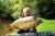 Kell Wylands Farm Fisheries
