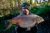 Kellet Lake Clear Water Fisheries