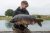 Kents Bank Clear Water Fisheries