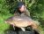 Kestrel Hunters Lodge Fishery