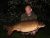 Kingfisher Lake Wintons Fishery