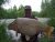 Kingfisher Raker Lakes