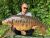 Knipton Reservoir AJS Fisheries