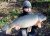 Knypersley Reservoir Bay Malton Angling Club