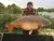 Lake 7 Orchard Place Farm Fisheries