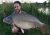 Lake 8 Orchard Place Farm Fisheries