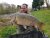 Lakemore Fisheries