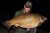 Long lake Darenth Fishing Complex