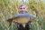 Longwater Lake Croxley Hall Fisheries