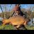 Main Lake Blasford Hill Fishery