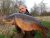 Manor Floods No.5 Area Fishing Club