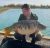 Marshview ADH Fisheries