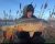 Merlin Lakes – Merrington