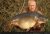 Mill Lane Farnham Angling Society
