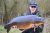Mill Pool Mid Kent Fisheries