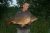 Milton Pan Lake Mid Kent Fisheries