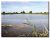 New Farm fishery