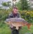 Newton Lakes Fishery