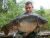 Nursery Lake – Yateley