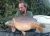 Oak Lake Oak Lakes Fishery