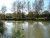 Old Pond Century Ponds Keynsham Angling Association