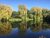 Osiers Lake Newland Hall Fishery