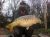 PADDOCK SPECIMEN LAKE – Todber Manor