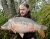 Pear Tree Lake Hartley Lands Fishery