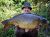 Pipe Oak Lakes Fishery