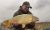 Redmile One Janson Fishery
