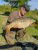 Reservoir Lake Hartley Lands Fishery
