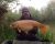 Roman Furnace Lakes Fisheries