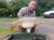 Runs Water Eden Grange Fishery