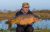 Sandmere Lake Syndicate