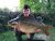 Selby 3 Lakes