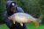 Shirkoak Fishery