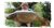 Silver Birch Fisheries Tetley Angling