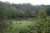 Silver Birch Lakes