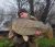 Slough House Hayes Carp Fisheries