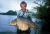 Sonning Eye – RDAA