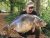 South Lake – Yateley