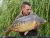 Specimen 1 Cackle Hill Lakes