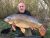 Specimen 2 A12 Lakes